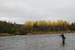 Daniel Larsen prøvefisker laks høsten 2011_75x50