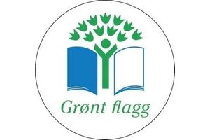 Grønt flagg Grønt flagg