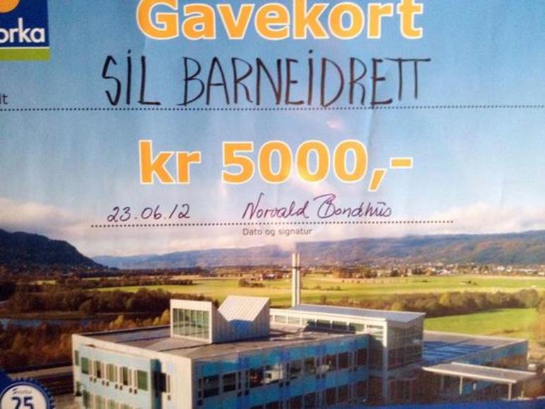 barneidrett sjekk_550x413