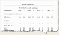 rapport_bruttofortjeneste