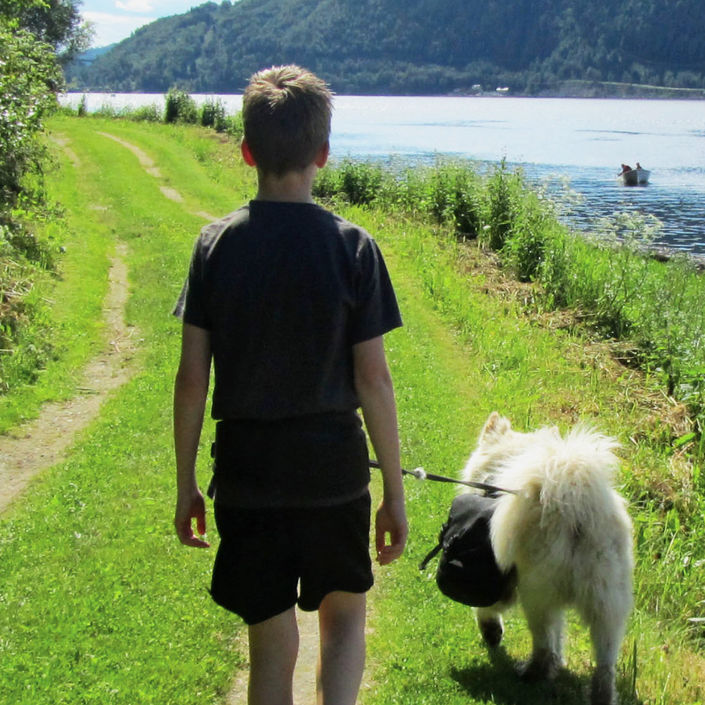 Gutt som går tur med hund Gutt som går tur med hund