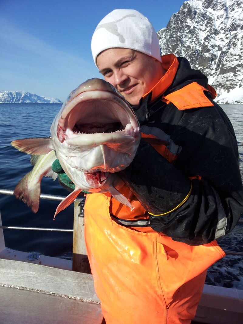 Fisker med torsk, omdømmeprosjektet