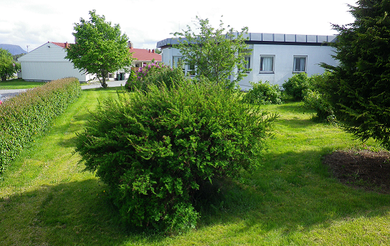 Hagen ved Aukraheimen Hagen ved Aukraheimen