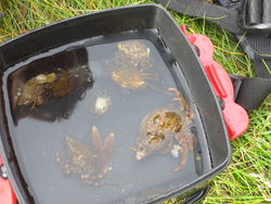 Funn_400x300