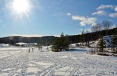 e9936de8acb61f3babd400c5559d0689