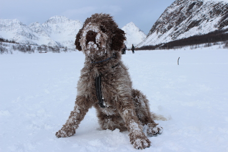 Bilbo på Vassdalsvannet_450x300.jpg