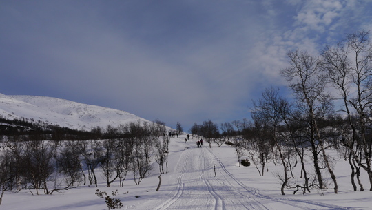 Gardirennet