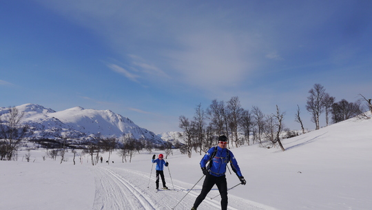 Gardirennet