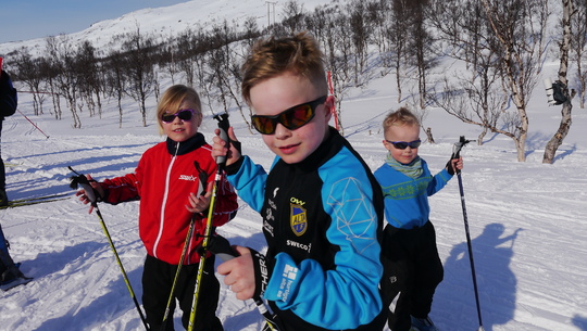 Gardirennet