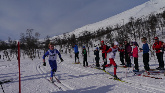 Gardirennet