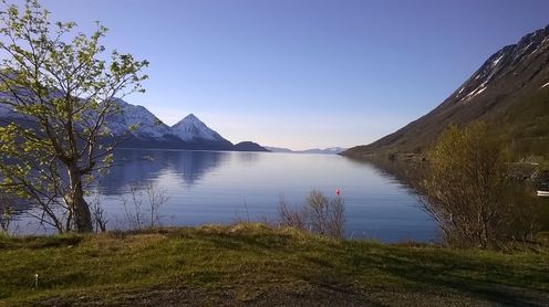 Månedens foto mai