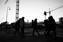 _MG_0823