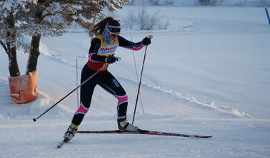 Alise Bruksvallsloppet
