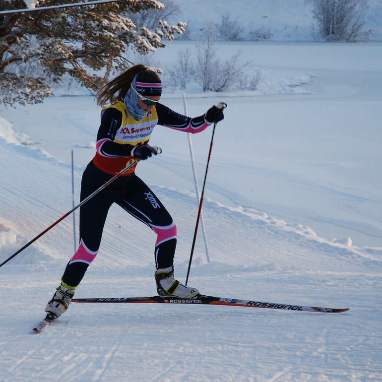 Alise Bruksvallsloppet