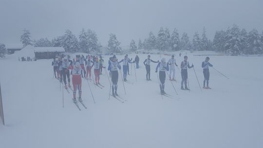 Startfeltet