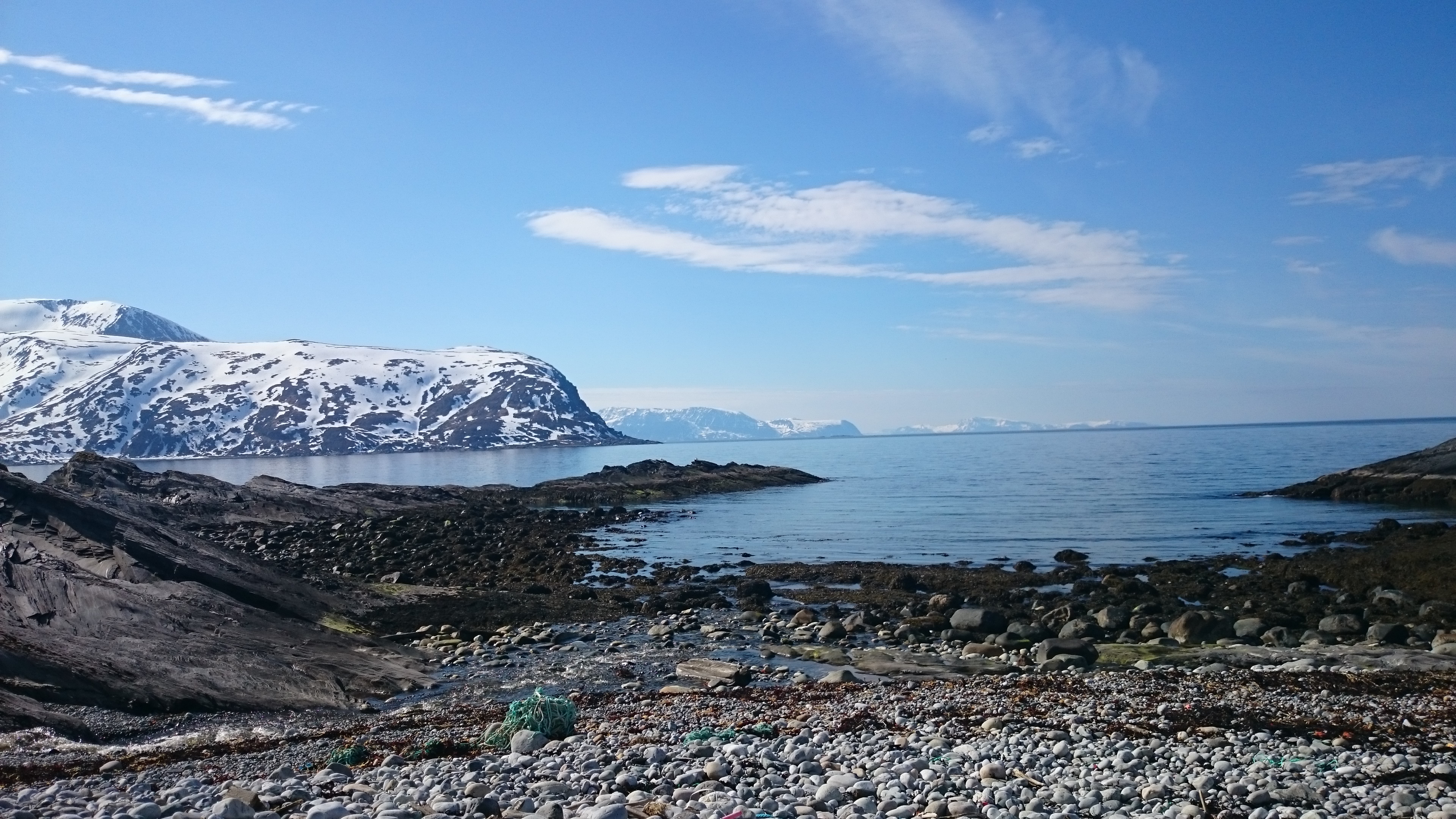 DSC_1946 (3).jpg