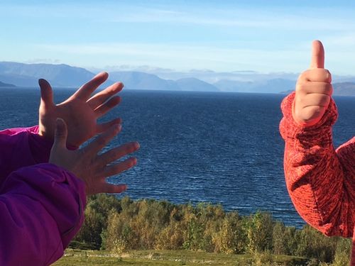 Illustrasjonsfoto av Bodil Ballovara Olufsen Hender i bevegelser foran landskap med skog, sjø og fjell i Alta-området.