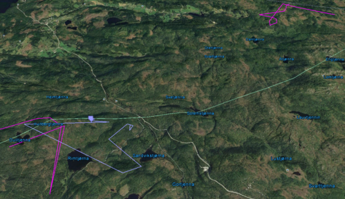 Følg de GPS-merkede elgene i Mostadmark
