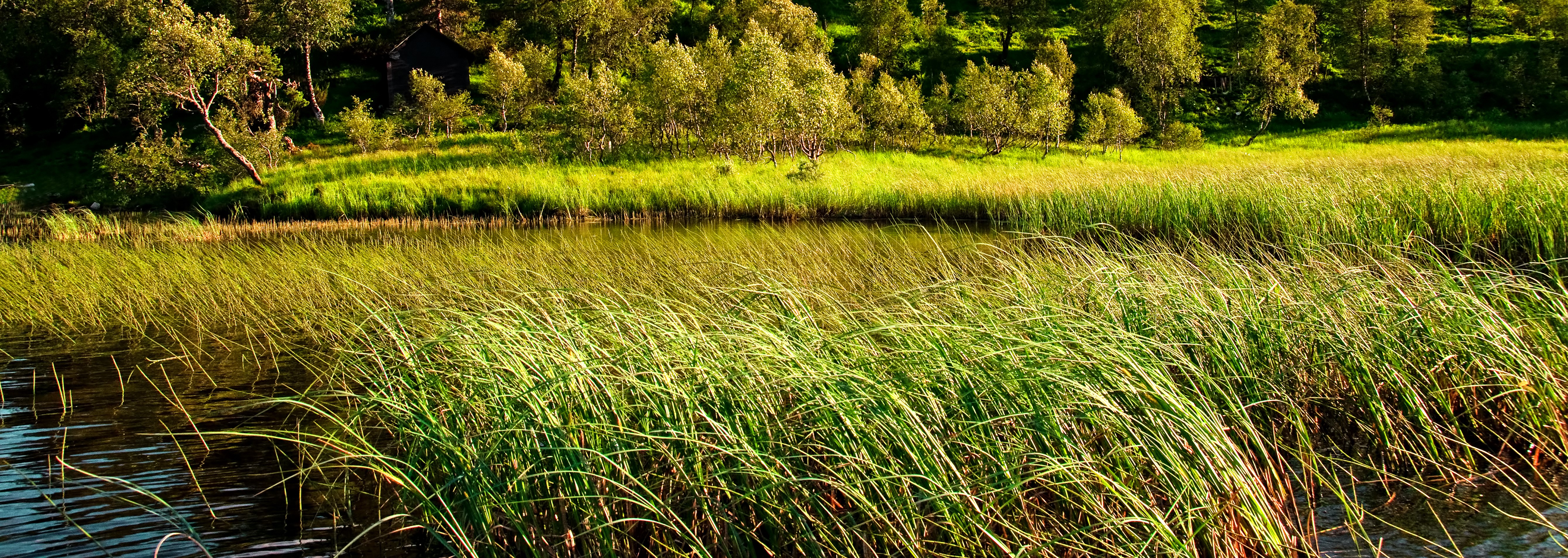 Illustrasjonsfoto, vann og myrområde