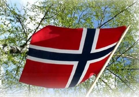 Norsk flagg og bjørk