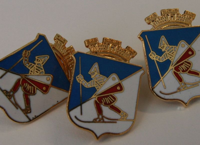 Illustrasjon av kommunens byvåpen på pins