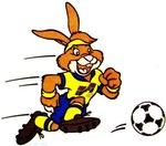 Berni-euro92-suede_150x132