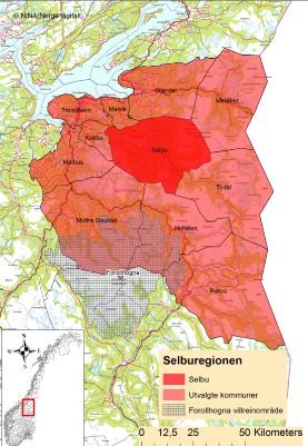 Kart over Selbu-regionen