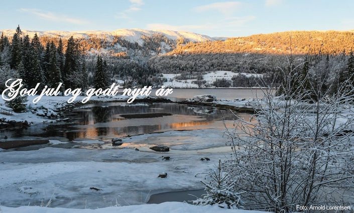 God jul 2017