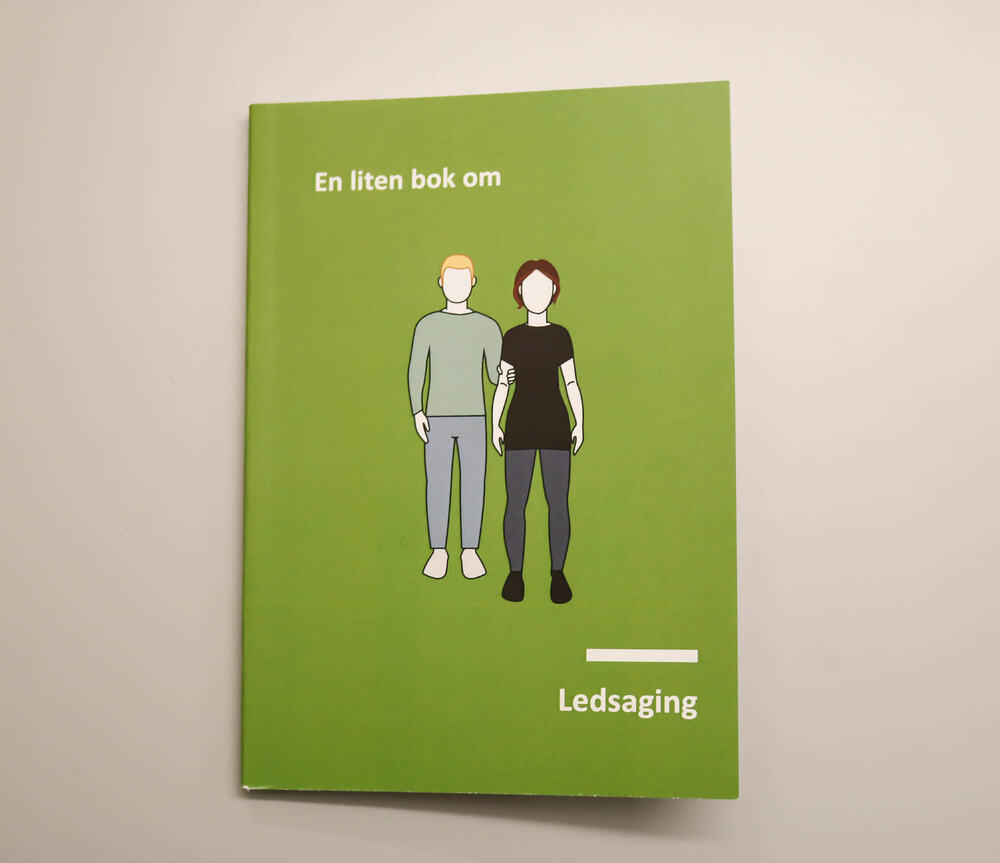 Forsiden til boken "En liten bok om ledsaging". Tegnet illustrasjon av en mann som ledsager en kvinne.