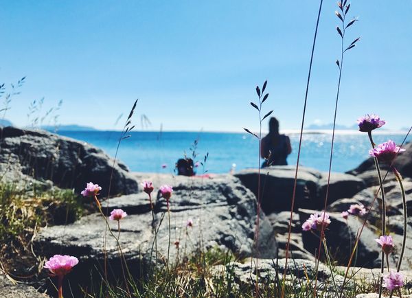 strandløk