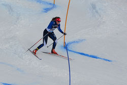 Ane i slalom langrennskross