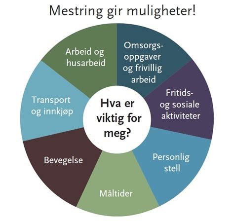 Mestringshjulet