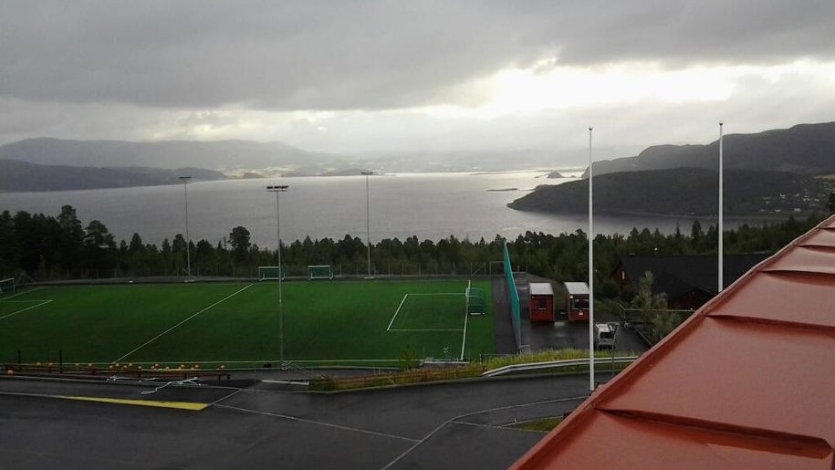 Bilde av Sveberg kunstgress