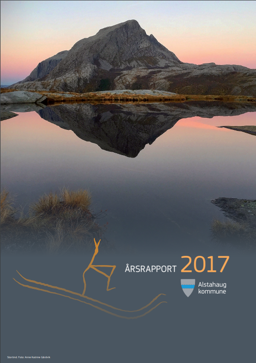 Årsrapport 2017
