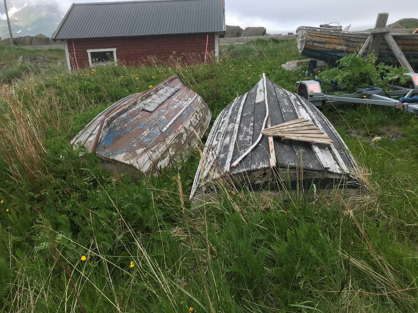 Båt ved molostranda