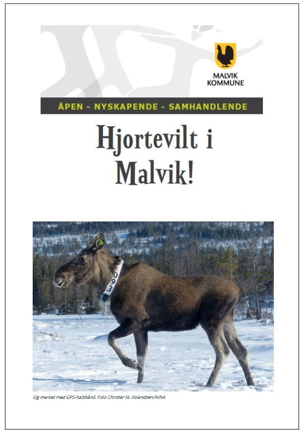 Hjortevilt i Malvik 2018