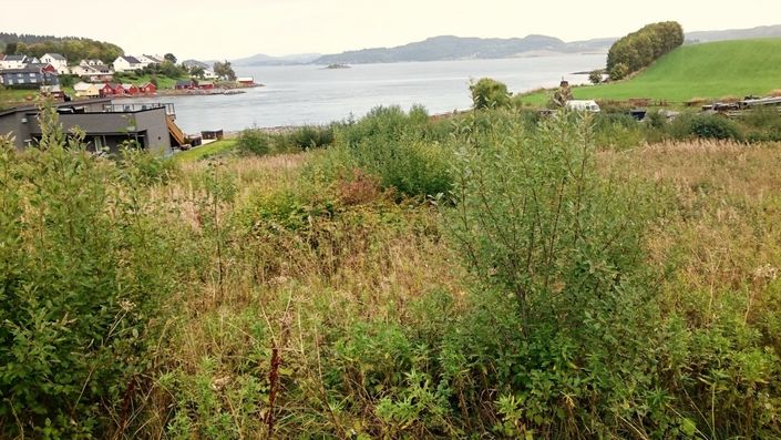 Tomt Lillesund