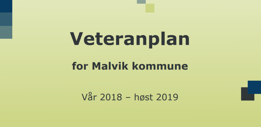 Forsidebilde av Malvik kommunes veteranplan