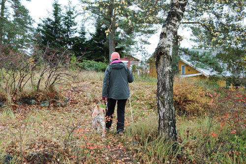 Kvinne går med blindestokk og sin førerhund gjennom lett skog mot et gult bolighus.