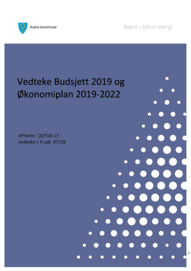 Bilete budsjett 2019