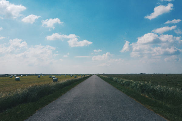 flatlands