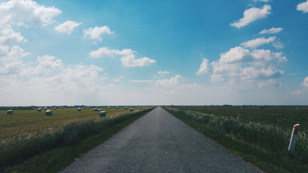 flatlands