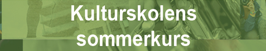 Sommerkurs 2019 banner.jpg