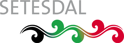 Visit Setesdal Logo