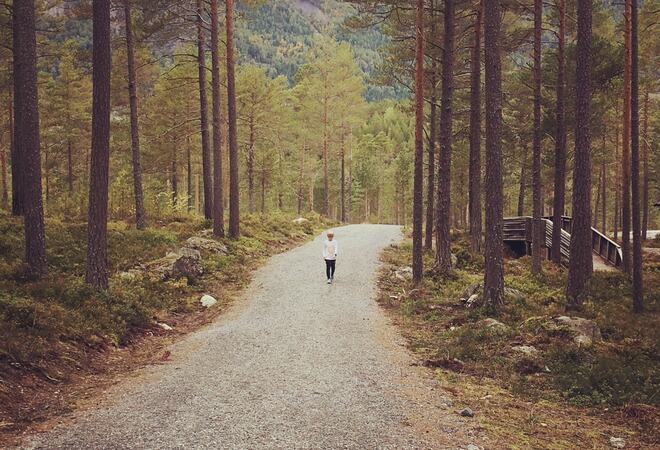 Ein liten vandrar i Hamaren