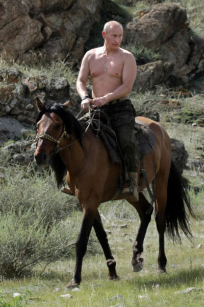 Putin til hest_400x600.jpg