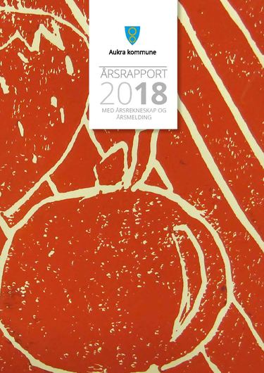 Årsrapport framsidebilde