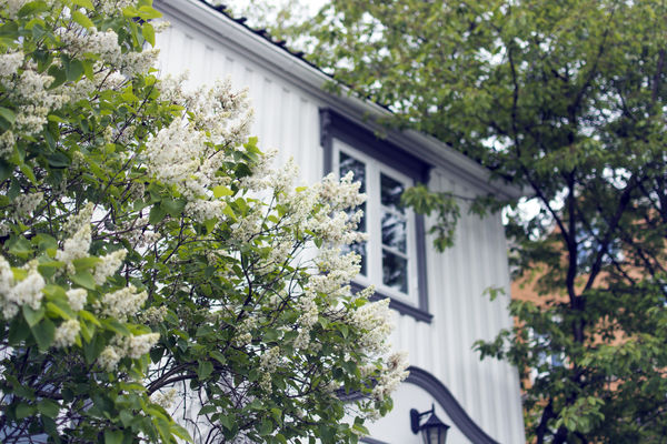 nordisk hus