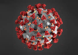 coronavirus coronavirus