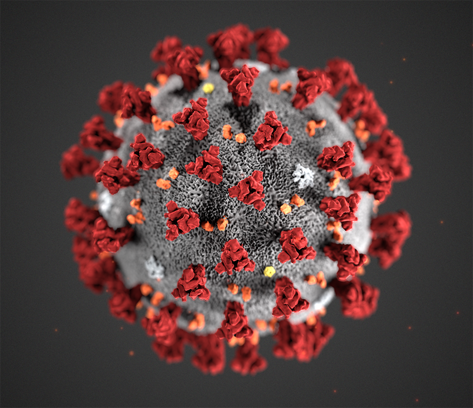 2871--cdc-alissa-eckert-ms_modifisert.png